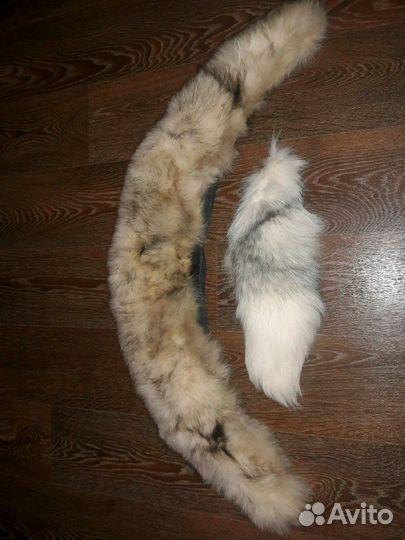 Воротник и хвост песец