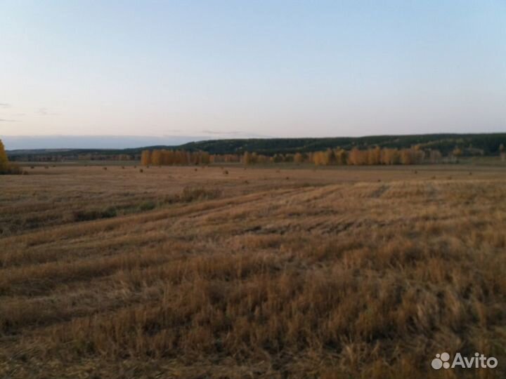 Солома в блоках