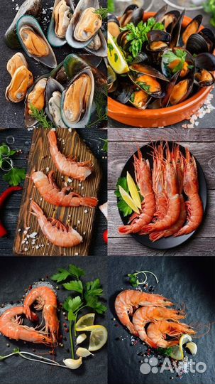 Лангустины / морепродукты