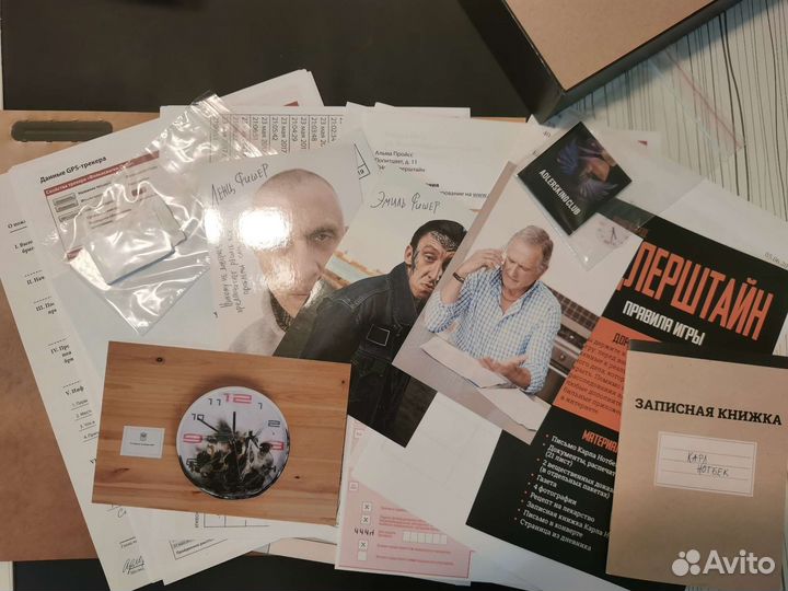 Адлерштайн и Антарктика (игра детектив)