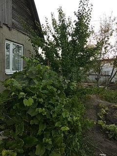 Дача 53 м² на участке 10 сот.