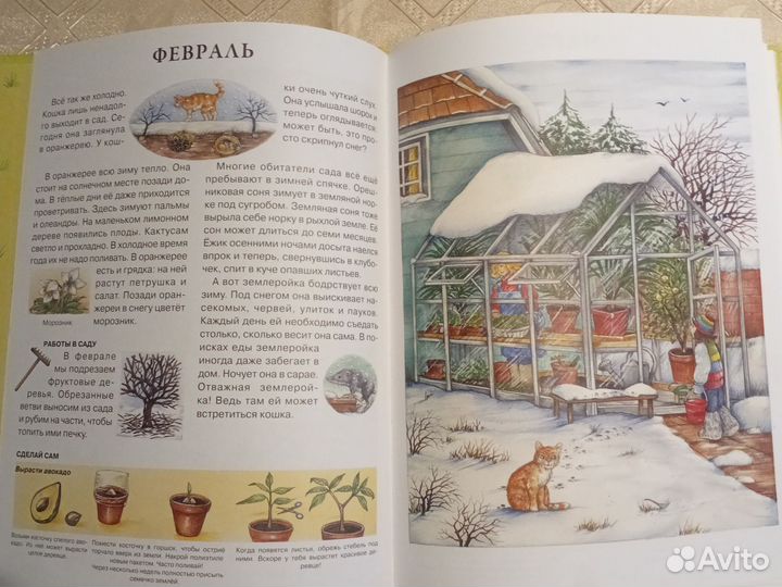 Сюзанна Риха 