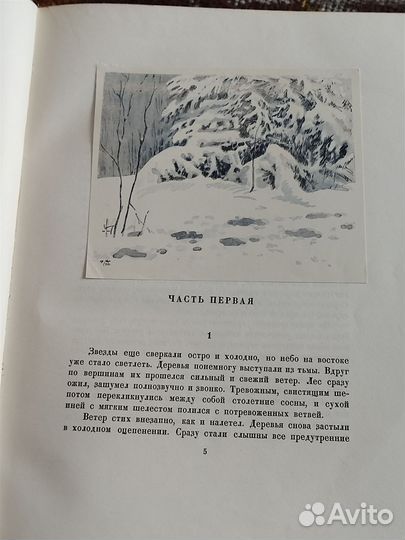 Повесть о настоящем человеке