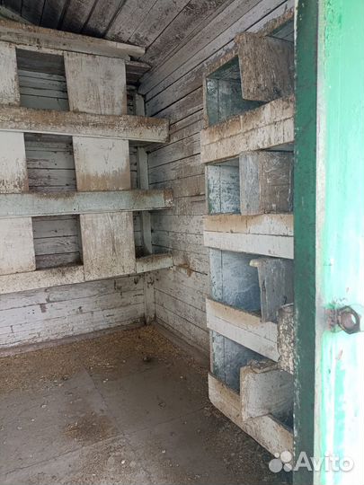Продам голубятню