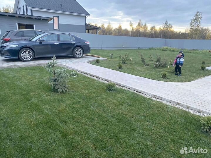 Рулонный газон премиального качества