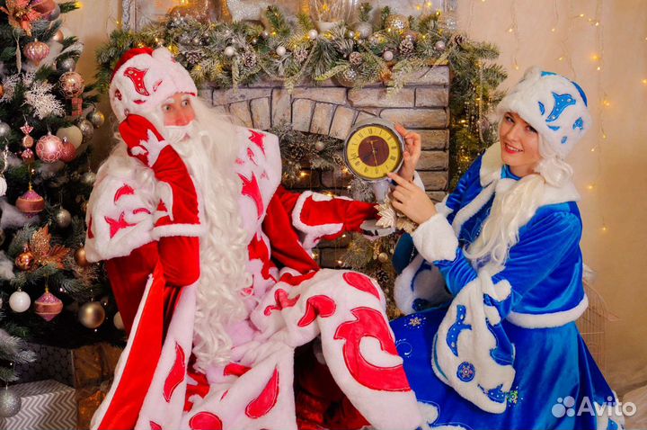 Дед Мороз на дом