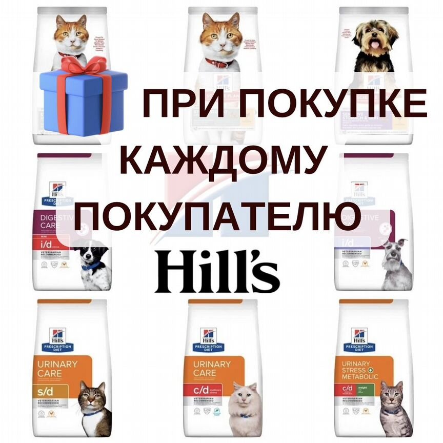 Корм Hills