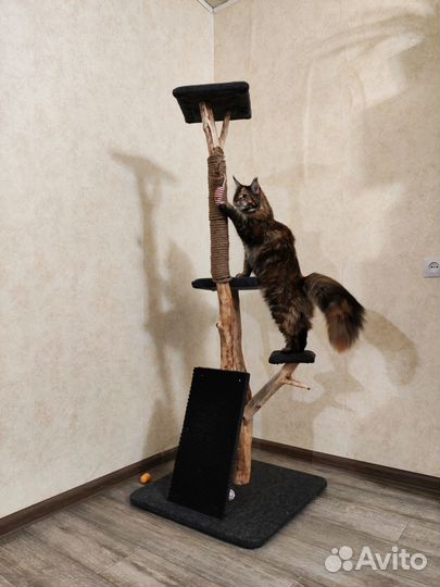 Когтеточка из дерева