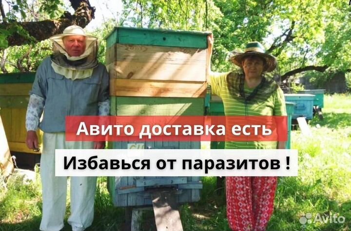 Антигельминтный Мёд