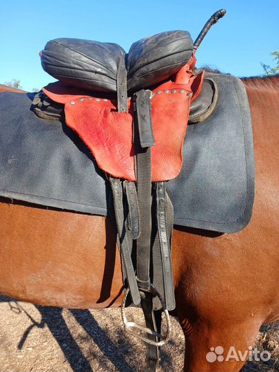 Бюджетные седла для лошади в сборе и без
