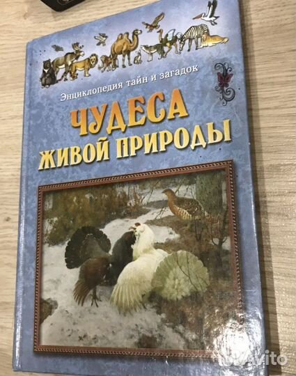 Чудеса живой природы Энциклопедия тайн и загадок