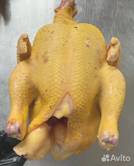 Домашний бройлер
