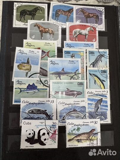 Советский альбом с редкими марками