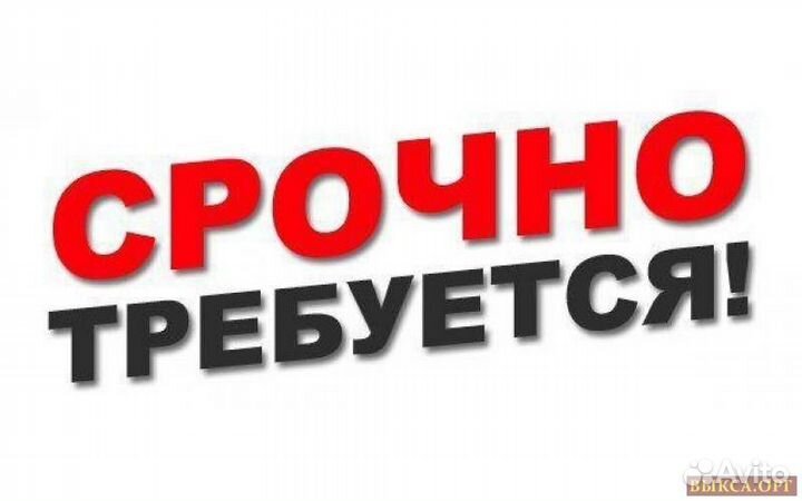 Старший повар 5/2