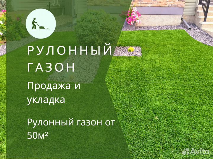 Укладка и продажа рулонного газона
