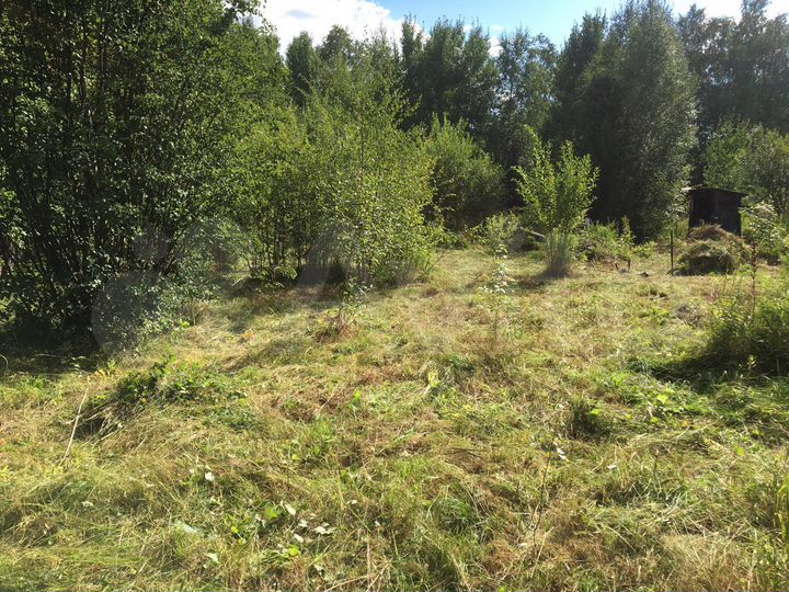 Участок 7 сот. (СНТ, ДНП)