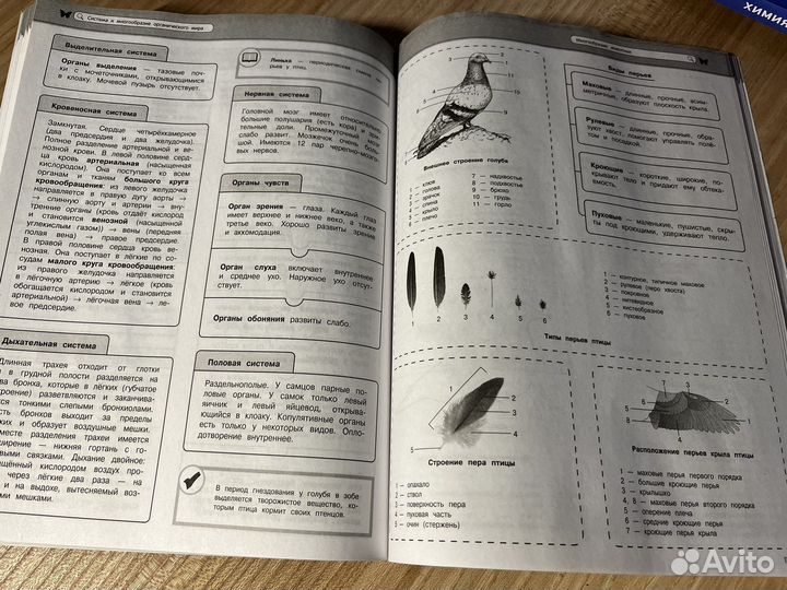 Справочник огэ и егэ биология