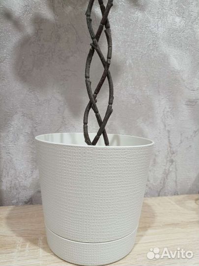 Искусственное дерево плетёное новое