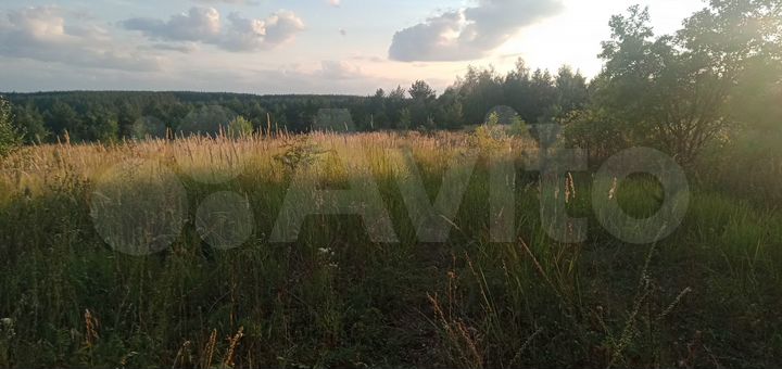 Участок 10 сот. (СНТ, ДНП)