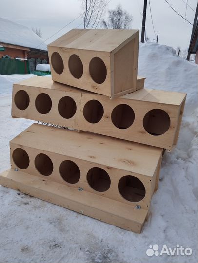 Гнездо для кур с яйцесборником