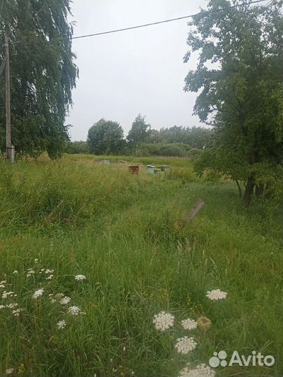 Продается пасека