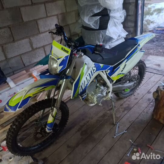 Avantis fx 250