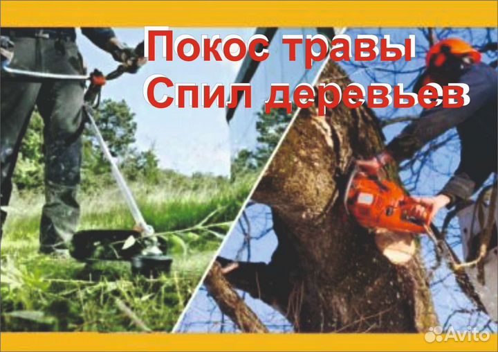 Сад благоустройство