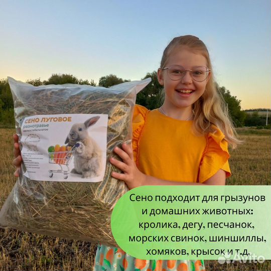 Сено луговое отборное для грызунов, кроликов и тд