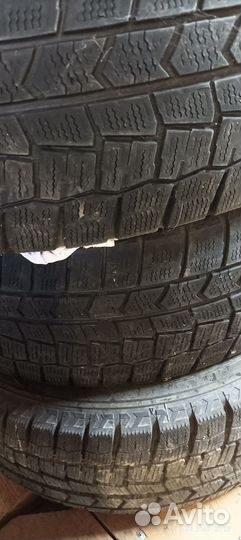 Dunlop Winter Maxx 195/65 R15 91