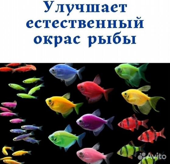 Корм для рыбок