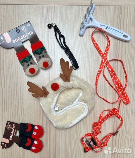 Одежда для собак
