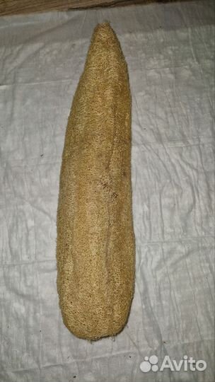 Люфа -мочалка, семена