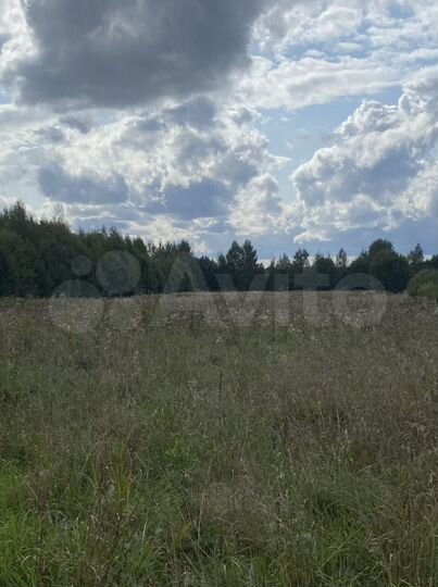 Участок 49 сот. (ИЖС)