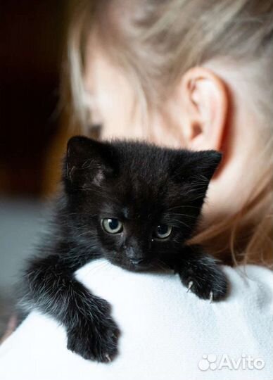 Малыш в добрые руки