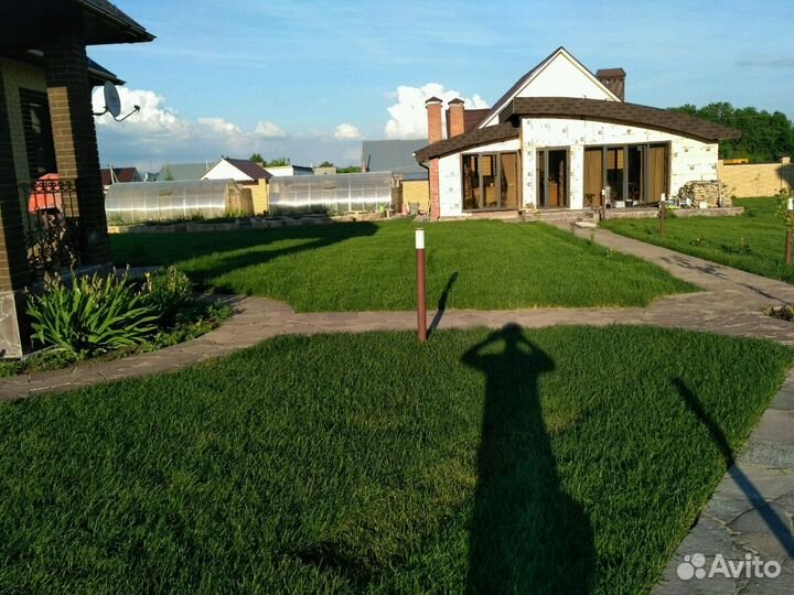 Рулонный газон