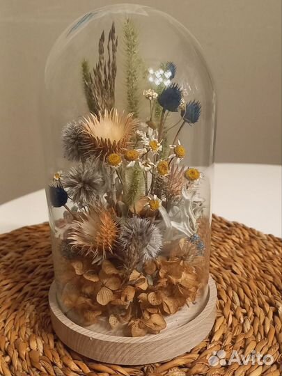 Клош стеклянный с сухоцветами