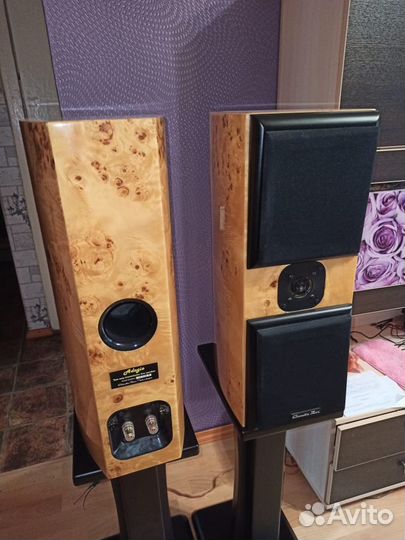 Акустическая система Acoustic Zen Adagio Junior