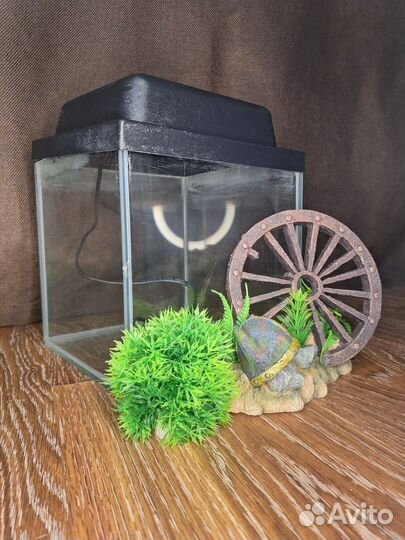 Аквариум