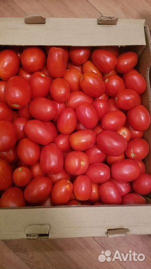 Помидоры