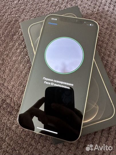 iPhone 12 Pro Max, 256 ГБ