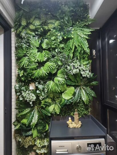 Фитостена, вертикальное озеленение, картины