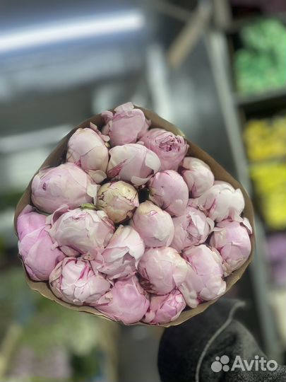 Пион пионы букет букет из пионов 101 роза