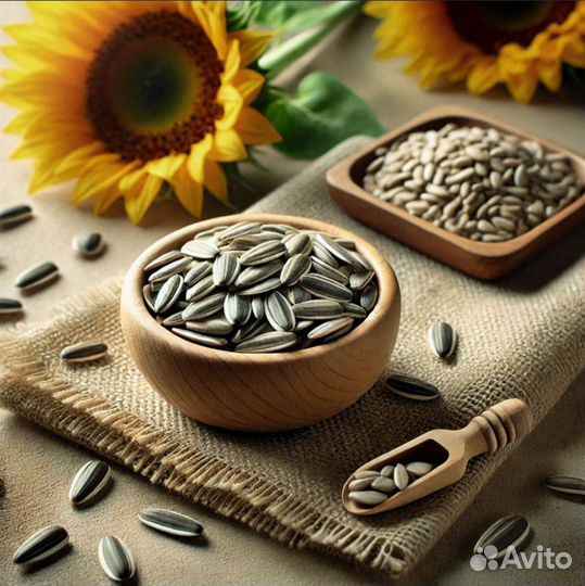 Семена подсолнечника «тгр 21»109