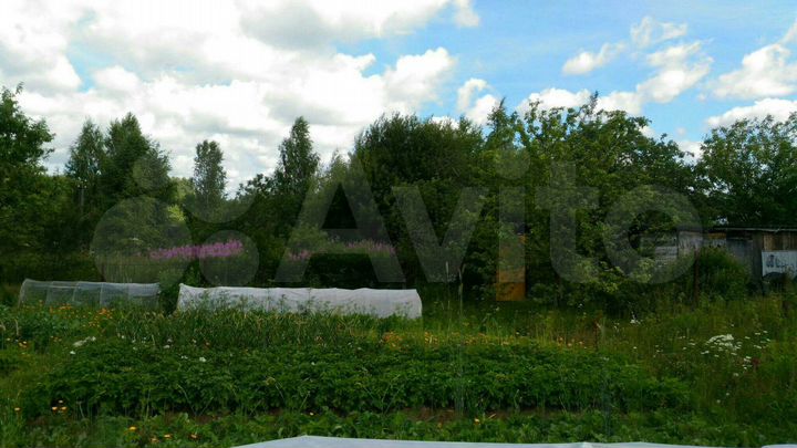 Участок 6 сот. (СНТ, ДНП)