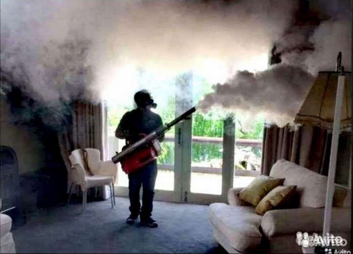 Уничтожение тараканов клопов мышей блох клещей