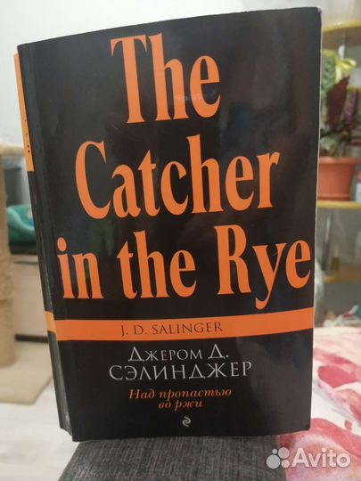 Книга Над пропастью во ржи