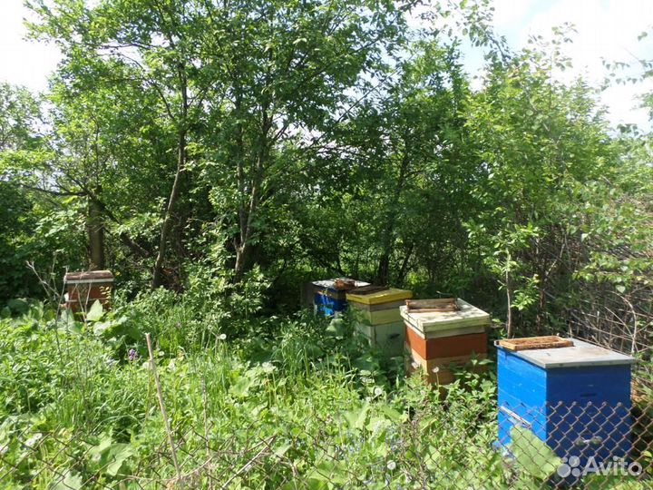 Пчелиный подмор