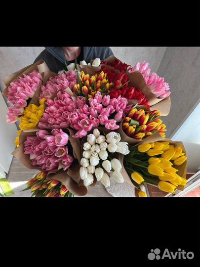 Продажа цветы тюльпаны