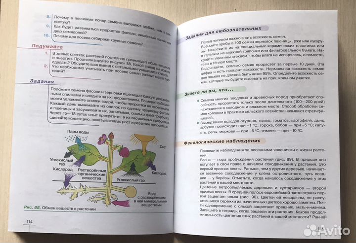 Учебник по биологии 6 класс