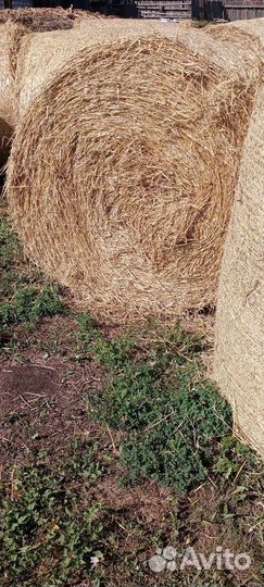 Солома в рулонах